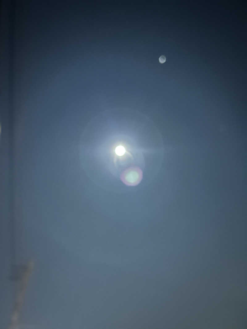 まいむさんのみどり湯のサ活写真