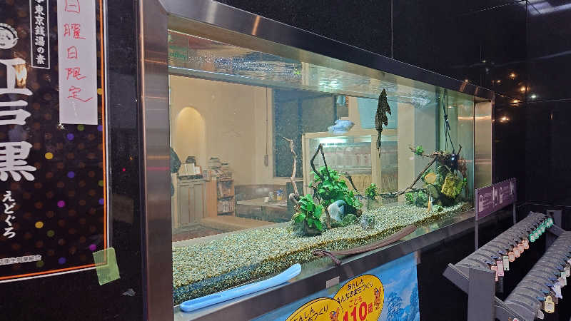 ポテ夫さんの宝泉湯のサ活写真