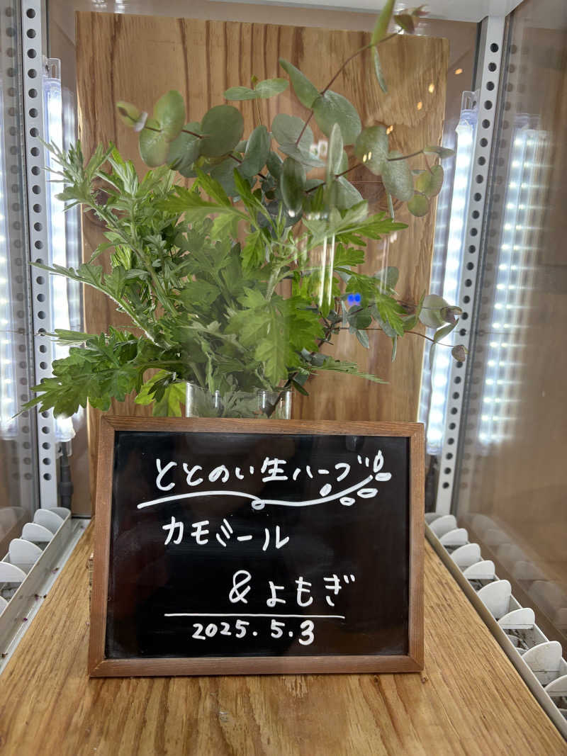 くまさんの各務原 恵みの湯のサ活写真