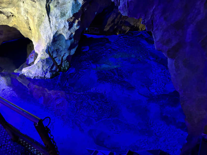 くまさんの稲積水中鍾乳洞のサ活写真