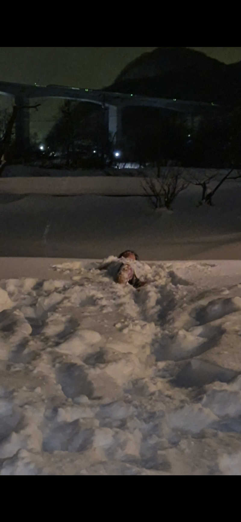 サンタマリア(ﾏｯﾁﾝｸﾞｹﾞﾙﾏ兄)さんのSAUNA Otaru archのサ活写真