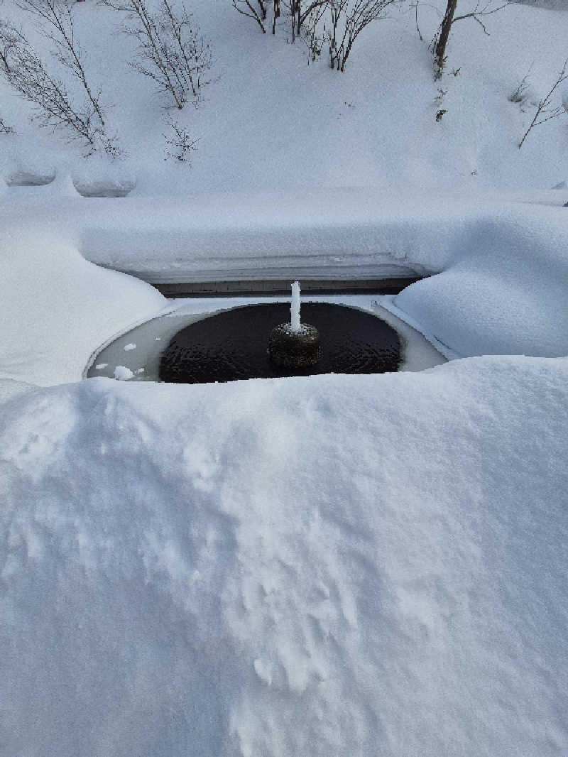 サンタマリア(ﾏｯﾁﾝｸﾞｹﾞﾙﾏ兄)さんのSAUNA Otaru archのサ活写真