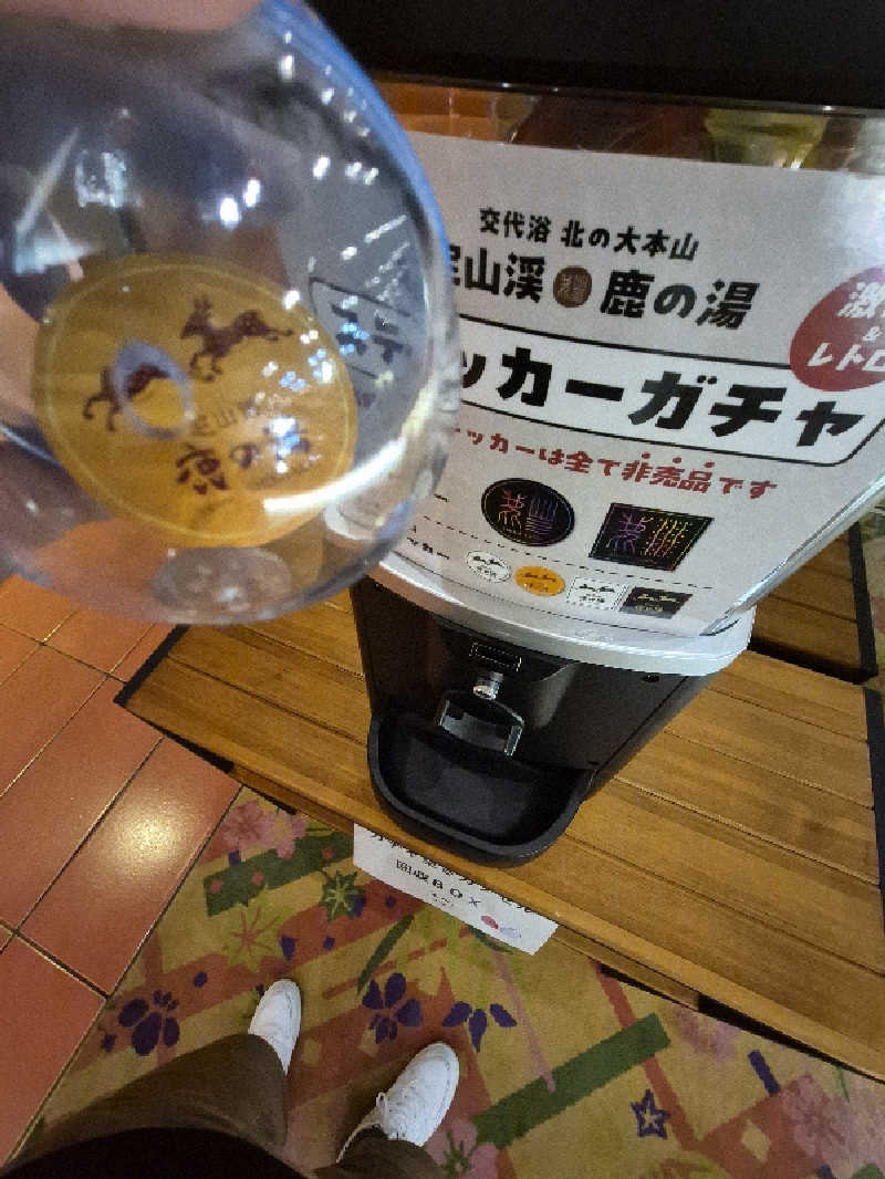 サンタマリア(ｹﾞﾙﾏ兄)さんの定山渓 鹿の湯のサ活写真