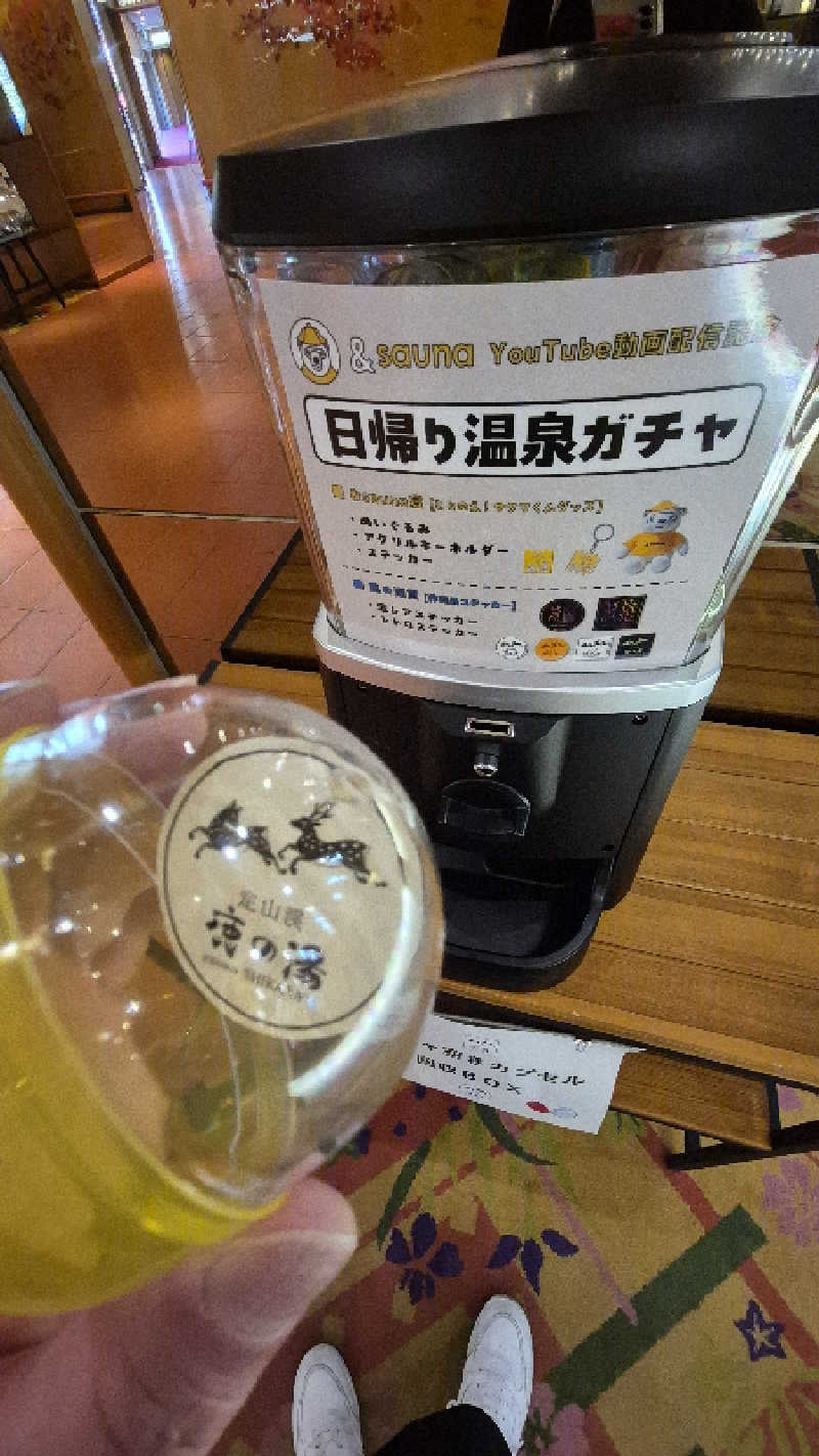 サンタマリア(ｹﾞﾙﾏ兄)さんの定山渓 鹿の湯のサ活写真