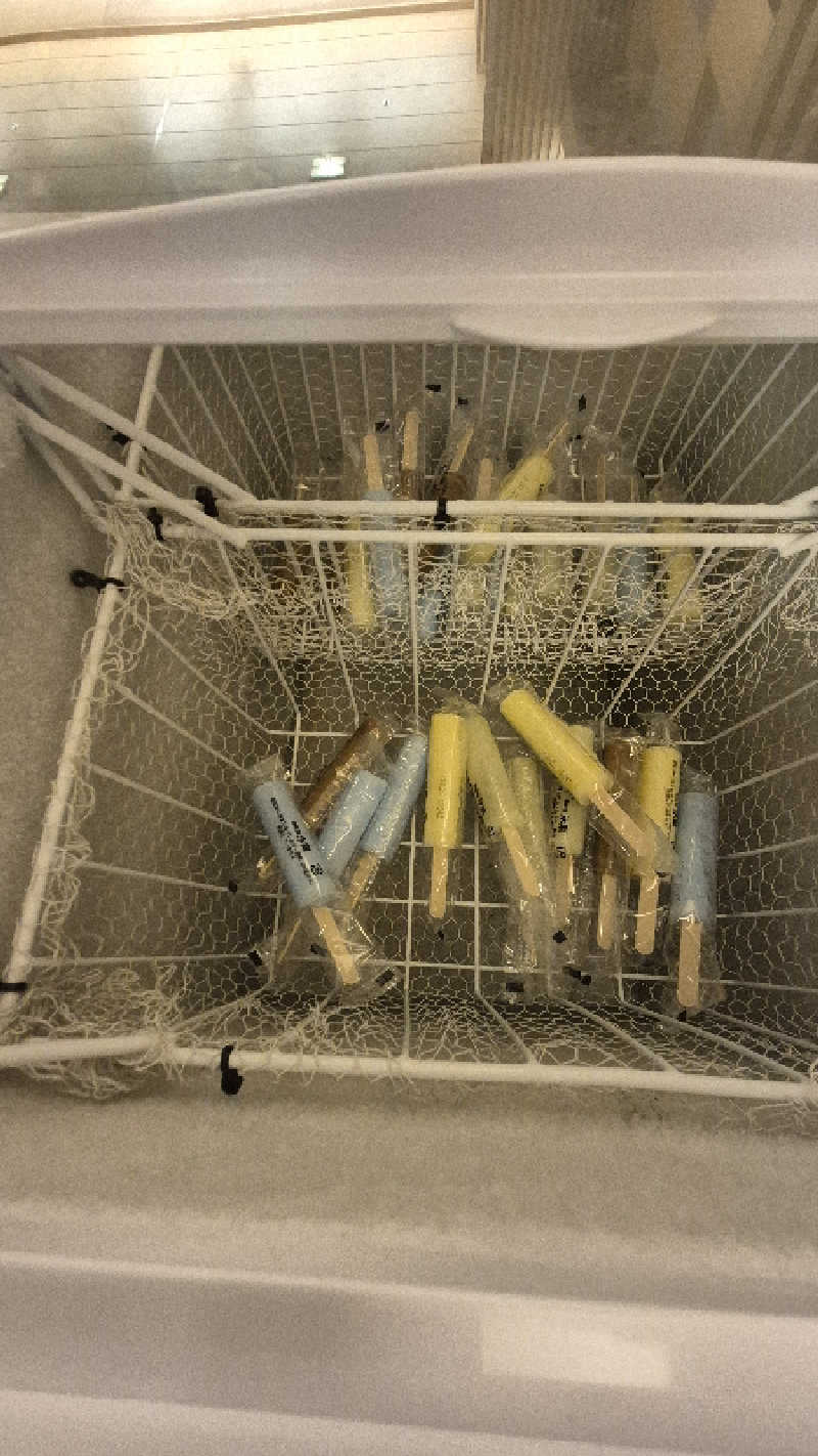 サンタマリア(ｹﾞﾙﾏ兄)さんの緑の風 リゾート きたゆざわのサ活写真