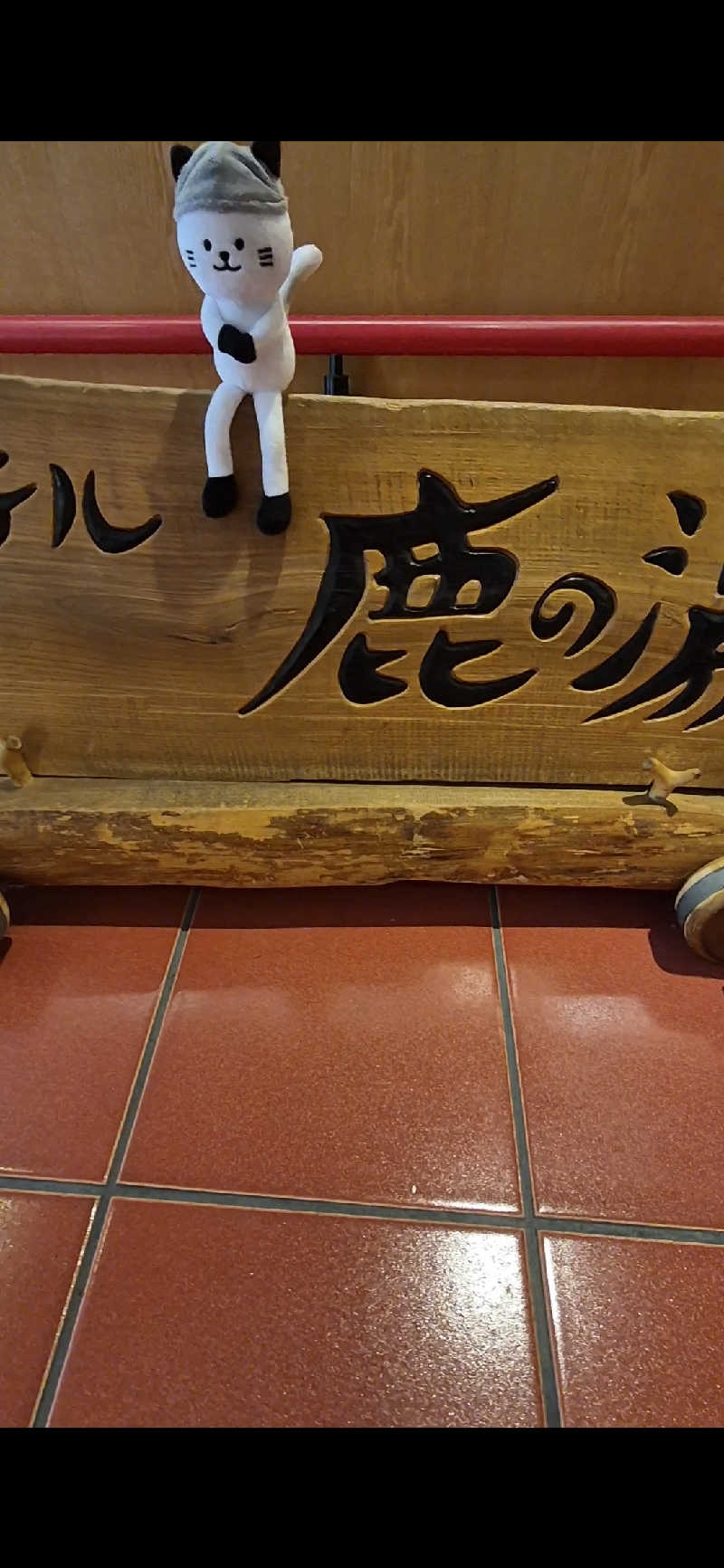 サンタマリア(ｹﾞﾙﾏ兄)さんの定山渓 鹿の湯のサ活写真