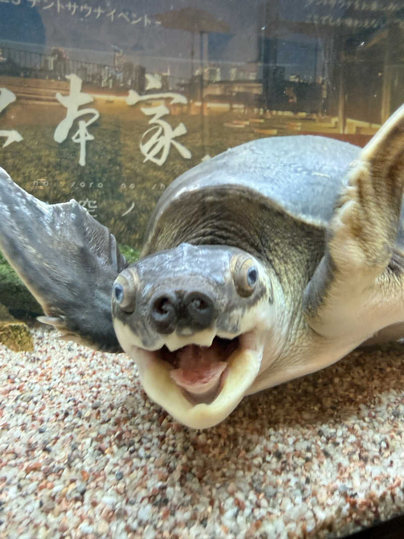 サウナ大好きケロヨンさんの松本湯のサ活写真