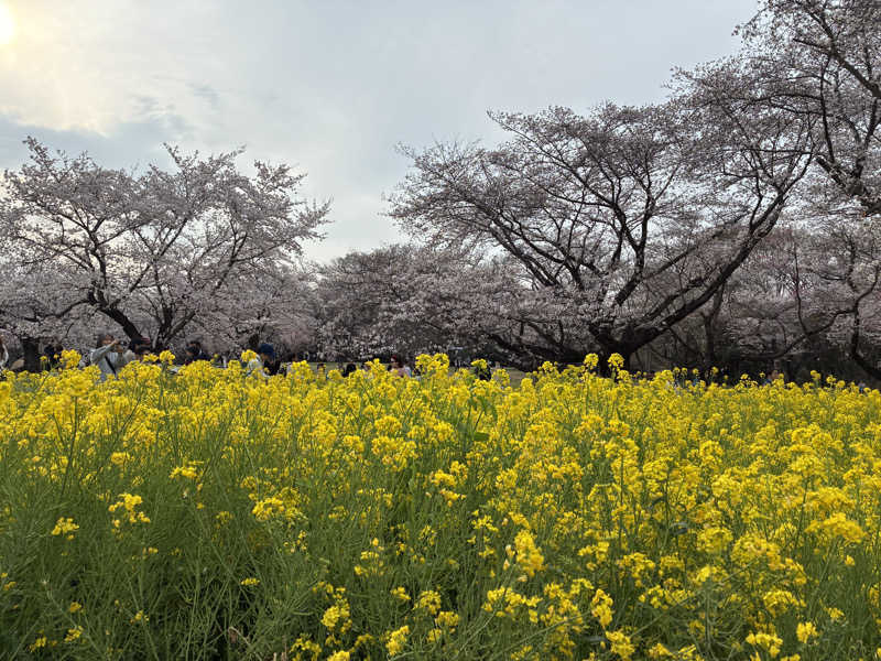 ビール大好きさんさんの稲城天然温泉 季乃彩(ときのいろどり )のサ活写真