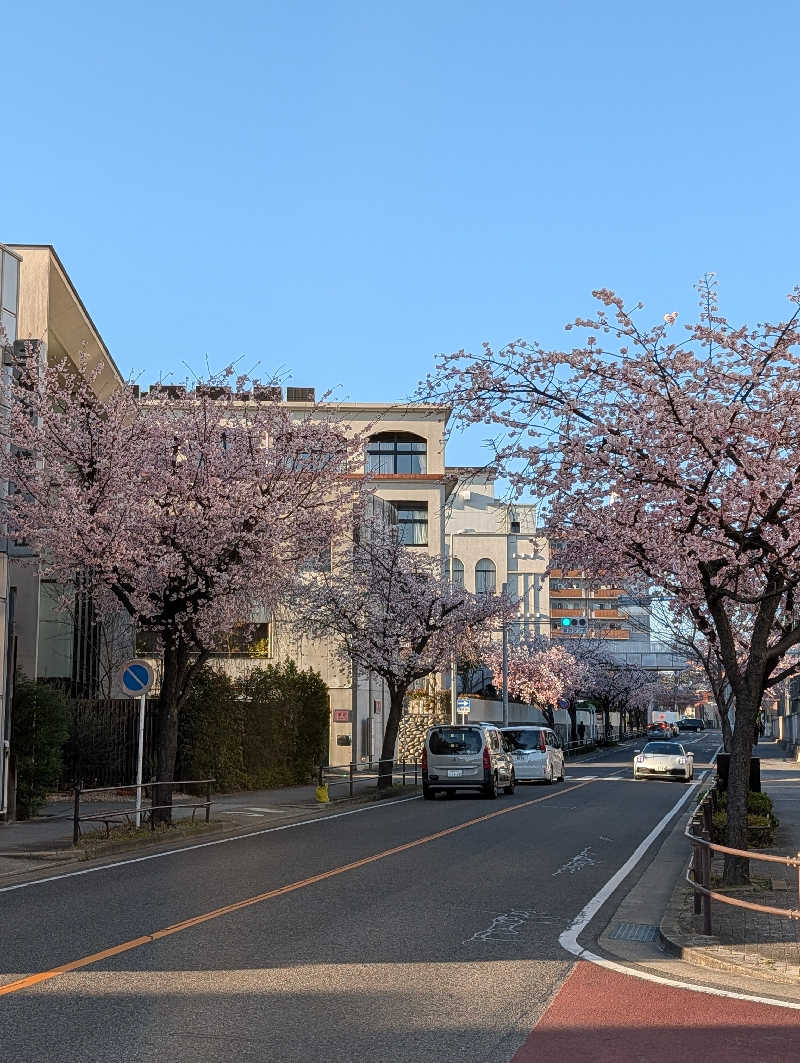 ドナウ川の漣さんの平田温泉のサ活写真