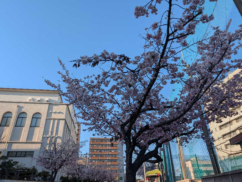ドナウ川の漣さんの平田温泉のサ活写真