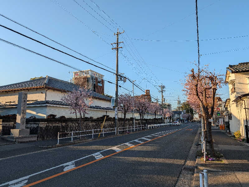 ドナウ川の漣さんの平田温泉のサ活写真