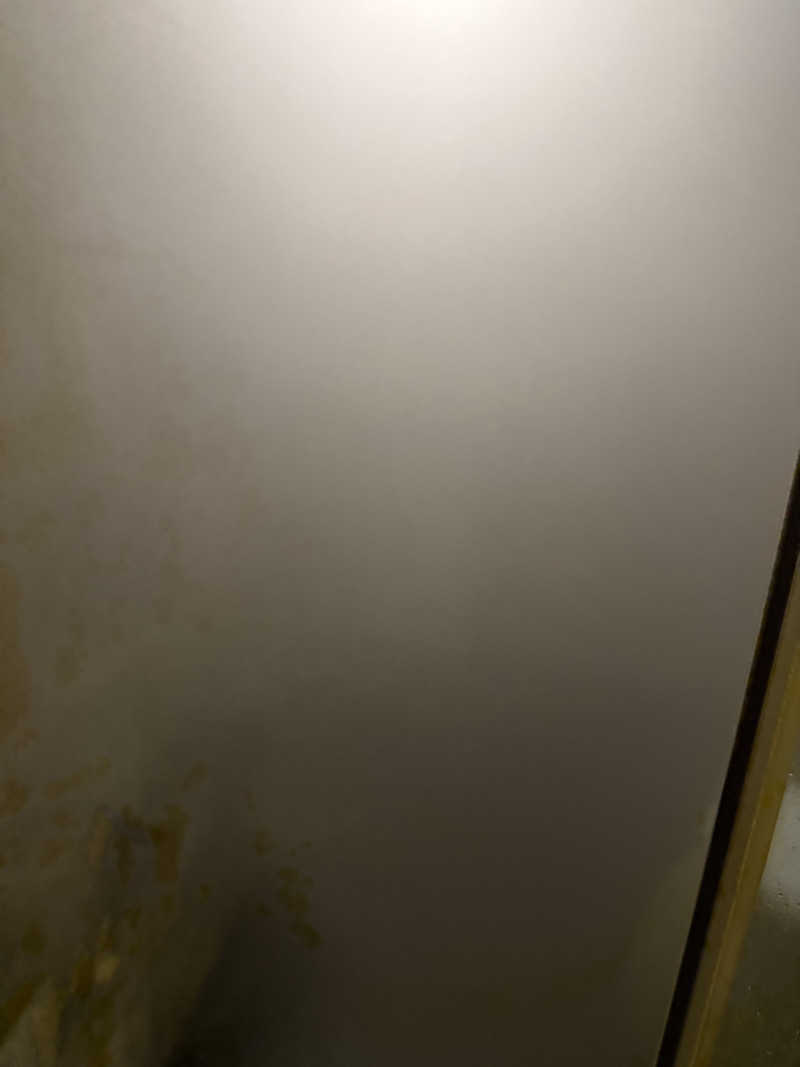 たけさんのザ ブロッサム リゾート ダナンのサ活写真