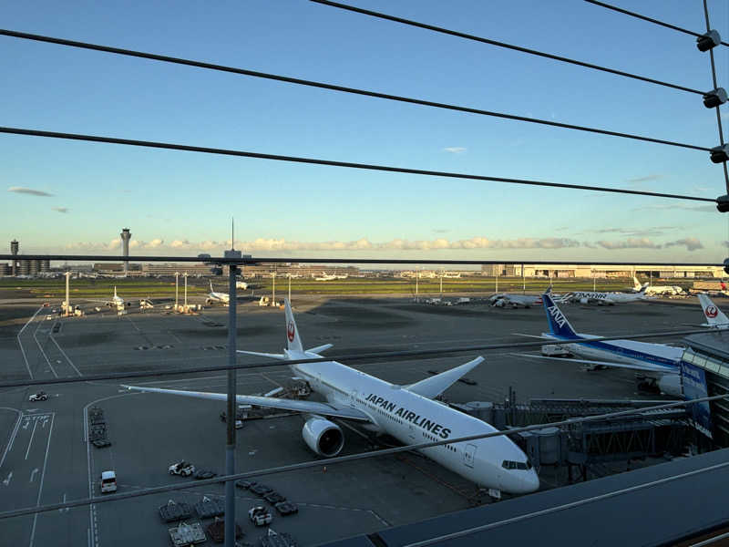 ふぐさうなさんの天然温泉 泉天空の湯 羽田空港のサ活写真