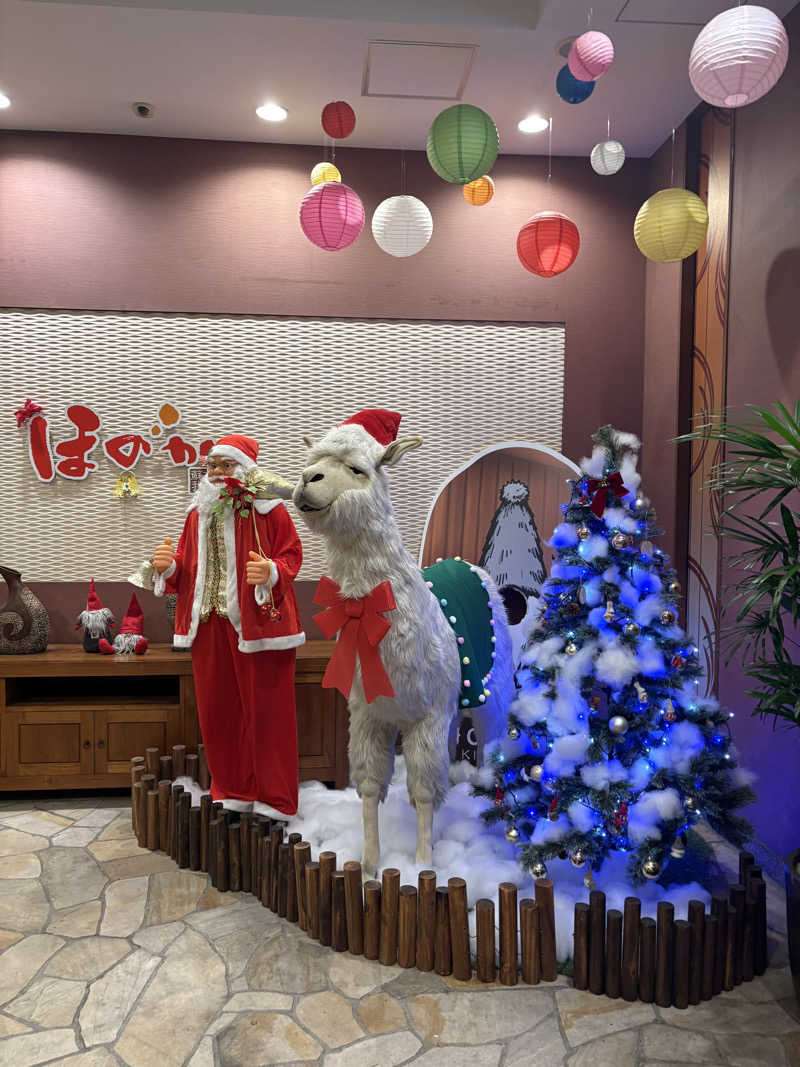 ぼくちゃんさんの湯の郷ほのか 蘇我店のサ活写真