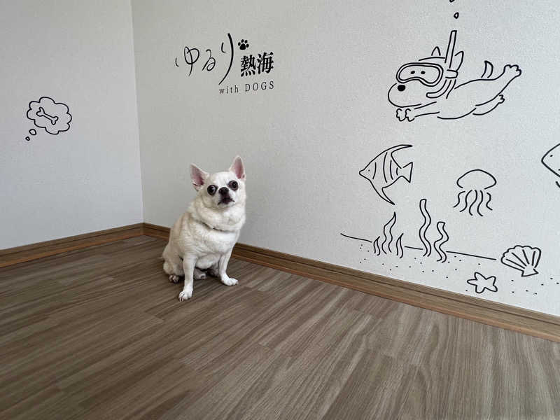 チワワさんのゆるり熱海withDOGSのサ活写真