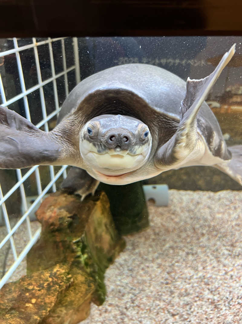 チワワさんの松本湯のサ活写真