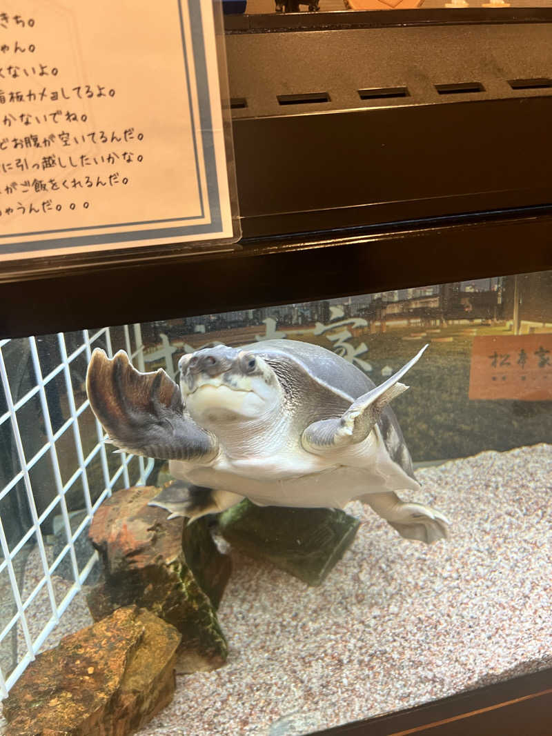 チワワさんの松本湯のサ活写真