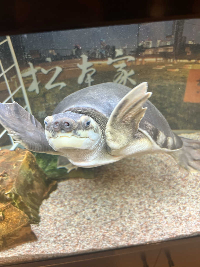 チワワさんの松本湯のサ活写真