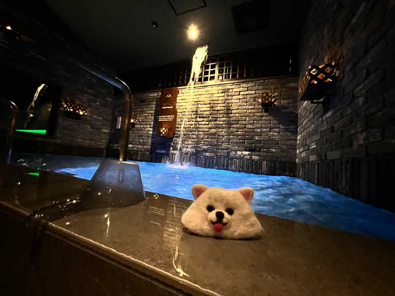 チワワさんの毎日サウナ東京 幕張店のサ活写真