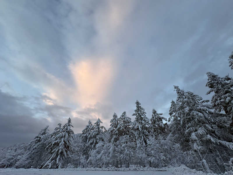 ３度の飯よりサウナさんの吹上温泉保養センター 白銀荘のサ活写真