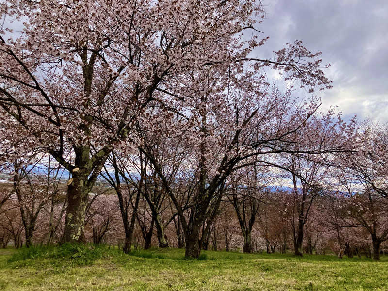 ばくさんのキトウシの森きとろんのサ活写真