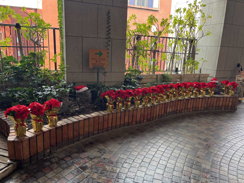 ラミネムさんの神戸サウナ&スパのサ活写真