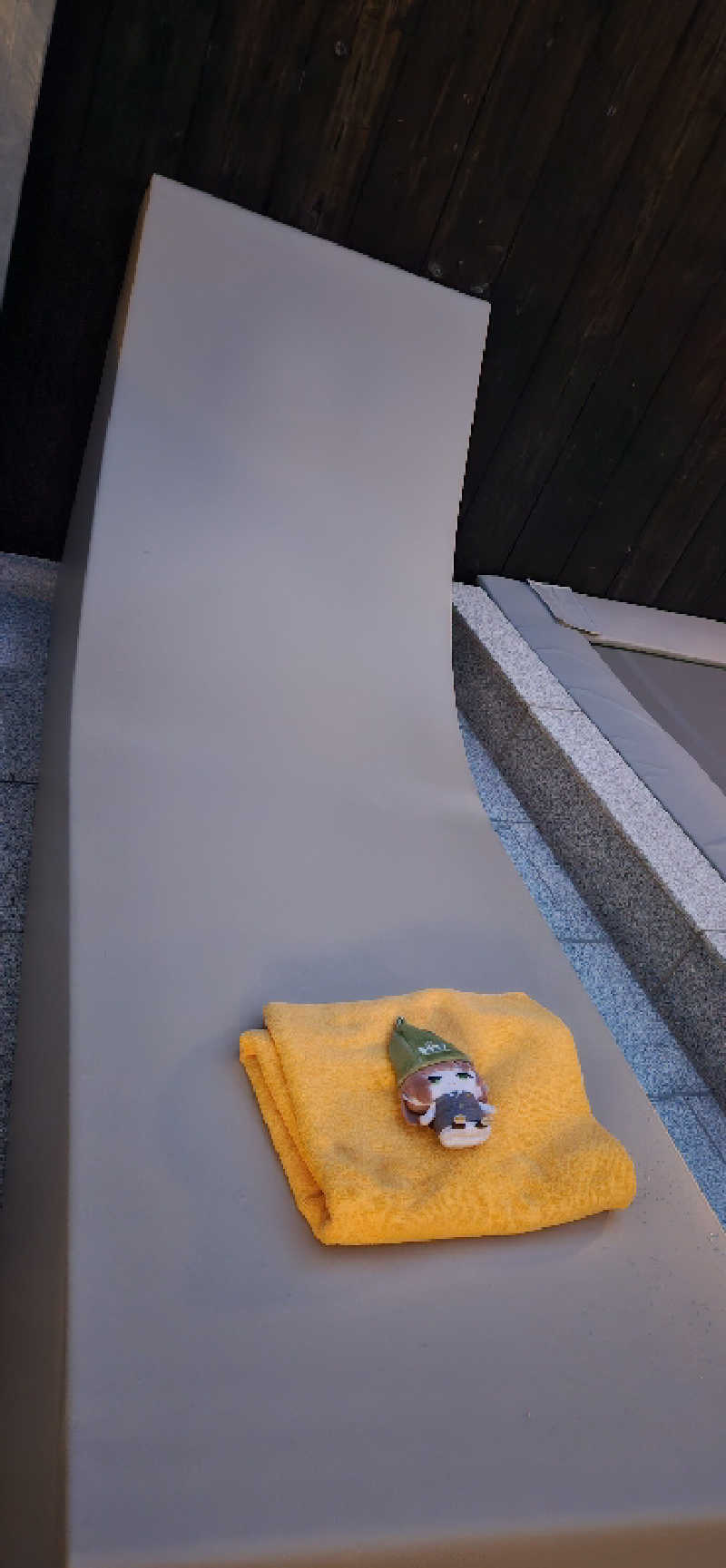 宮下かすみ🐤さんのぎょうざ湯2(旧夷川サウナなかじま)のサ活写真