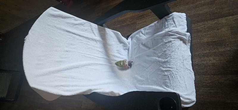 宮下かすみ🐤さんのSAUNA グリンピアのサ活写真