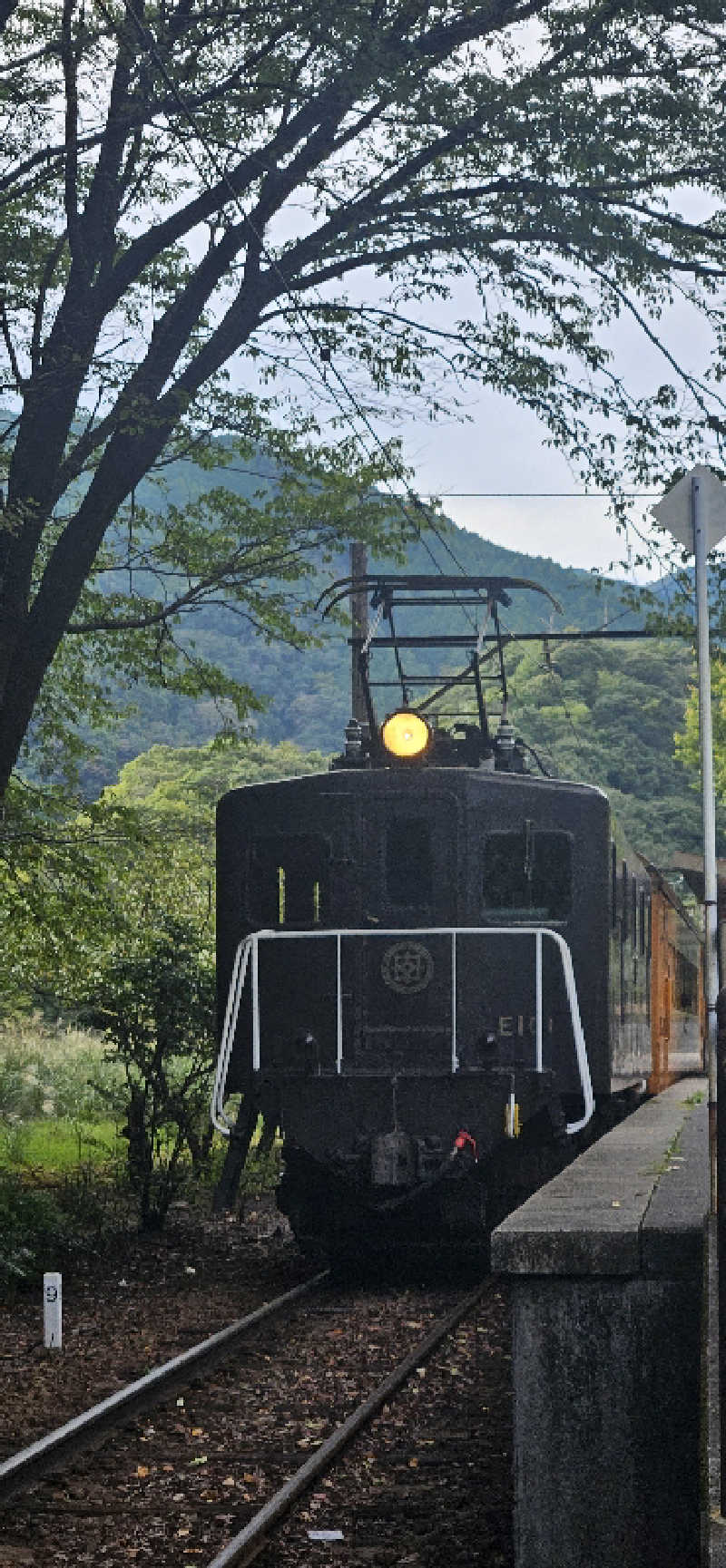 宮下かすみ🐤さんの大井川鐵道 川根温泉ホテルのサ活写真
