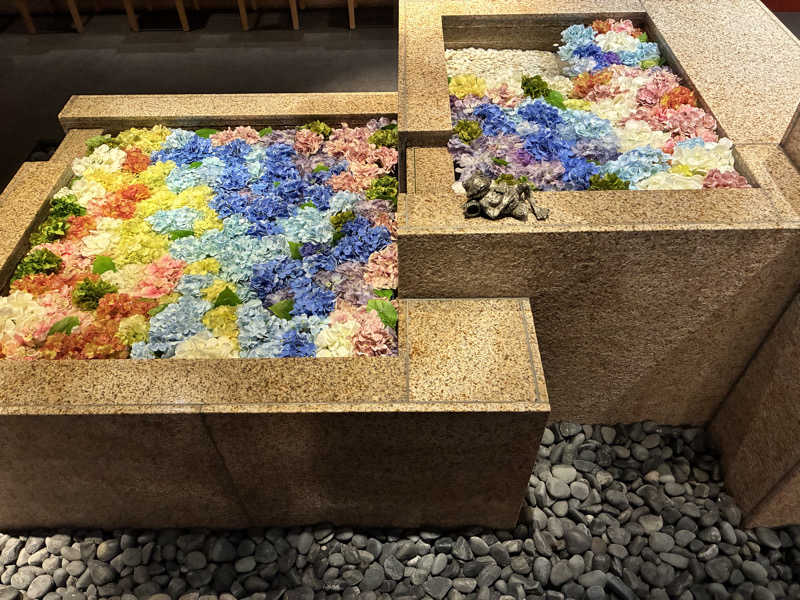 ぬんさんの綱島源泉 湯けむりの庄のサ活写真