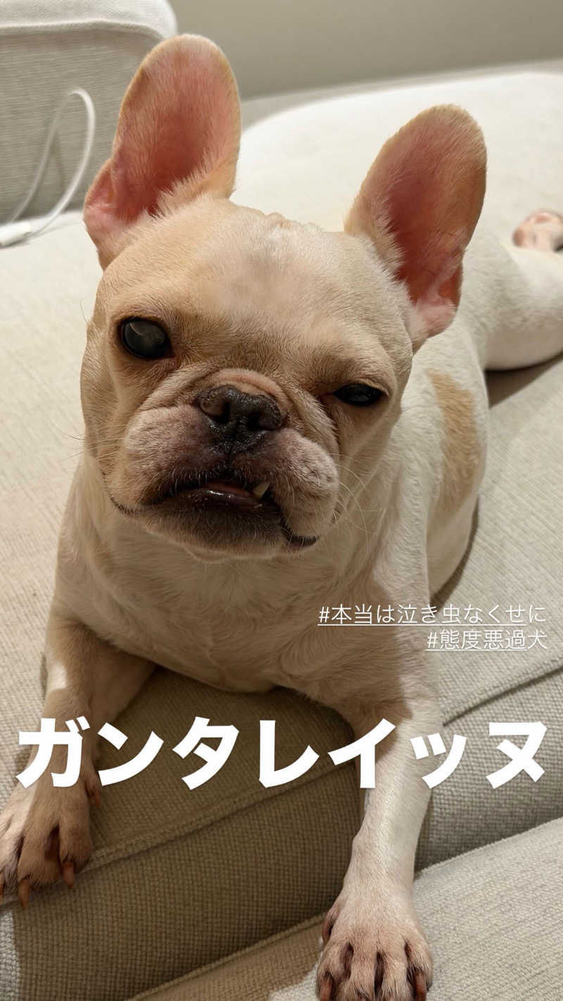 マヨネーズさんのBOTANICAL POOL CLUBのサ活写真