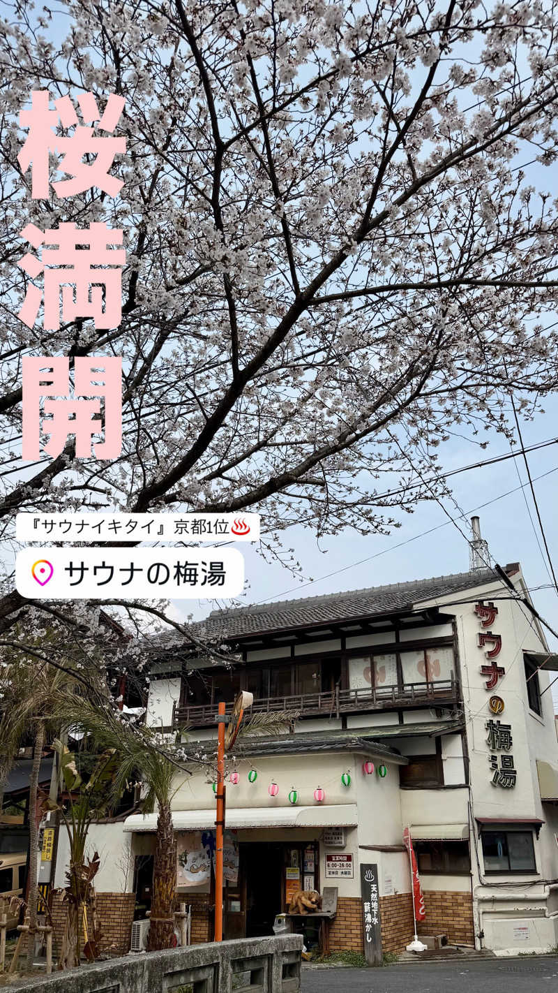 マヨネーズさんのサウナの梅湯のサ活写真