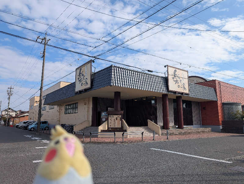 イーフーさんの楽だの湯 一宮店のサ活写真