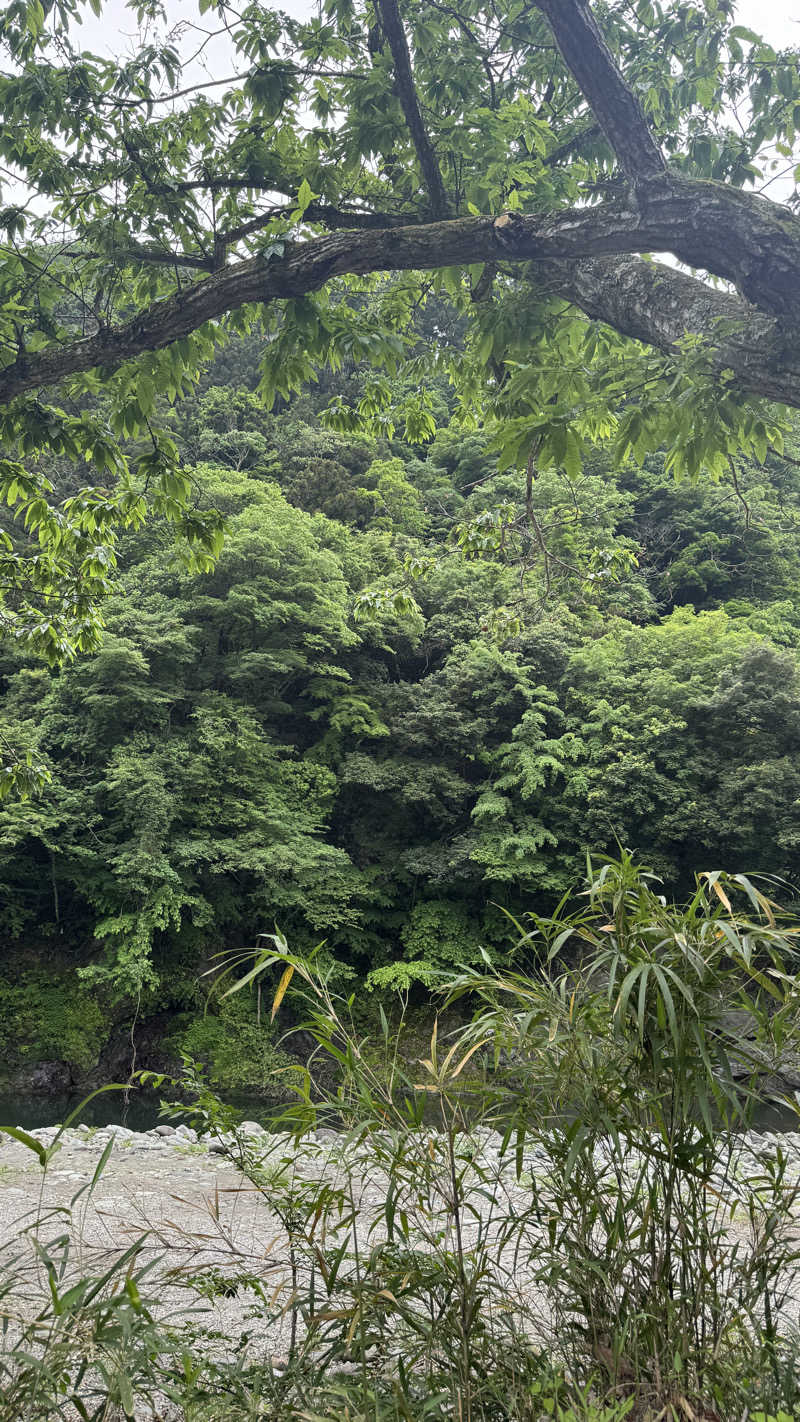 酒好きニコニコアラサウナーさんのDAICHI silent riverのサ活写真