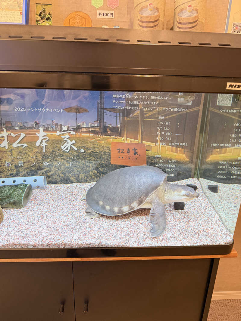 ﾛｼﾋﾟ🍓さんの松本湯のサ活写真
