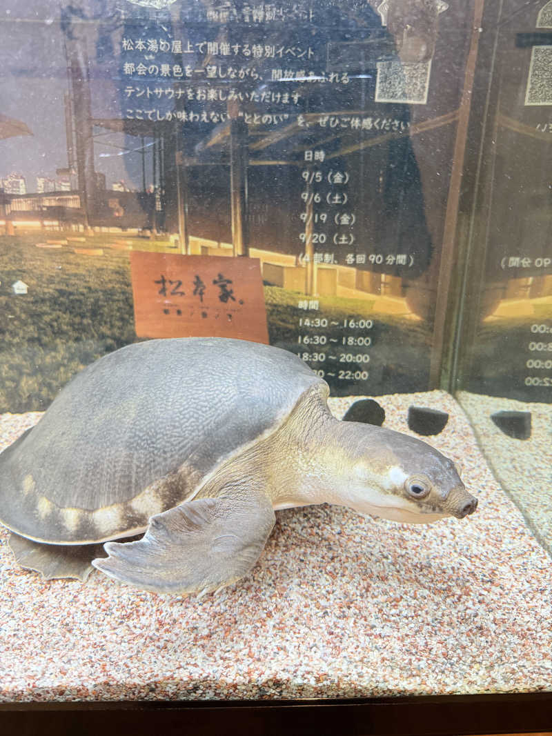 ﾛｼﾋﾟ🍓さんの松本湯のサ活写真
