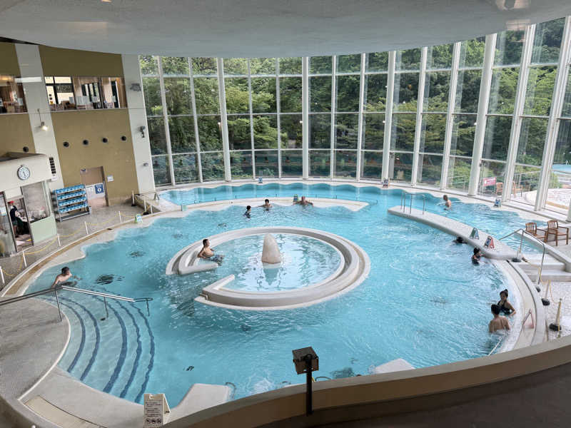 ﾛｼﾋﾟ🍓さんの豊島園 庭の湯のサ活写真
