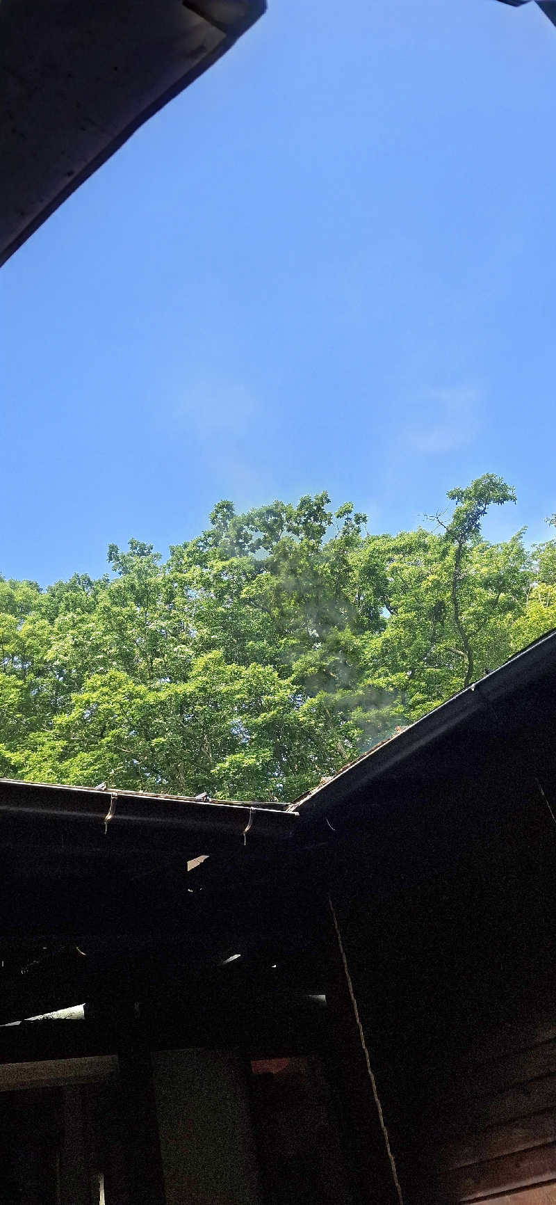 Ｉ.Tadashiさんの寒の地獄旅館のサ活写真