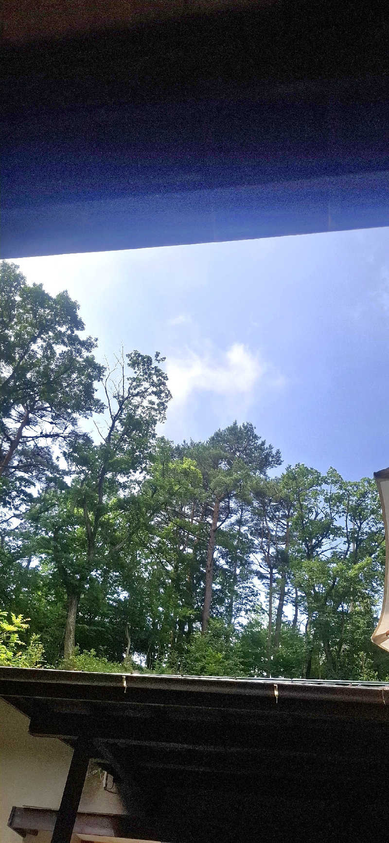 Ｉ.Tadashiさんの寒の地獄旅館のサ活写真