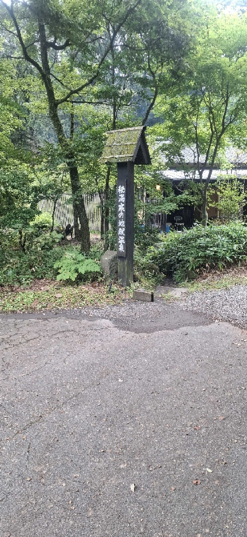 Ｉ.Tadashiさんの寒の地獄旅館のサ活写真