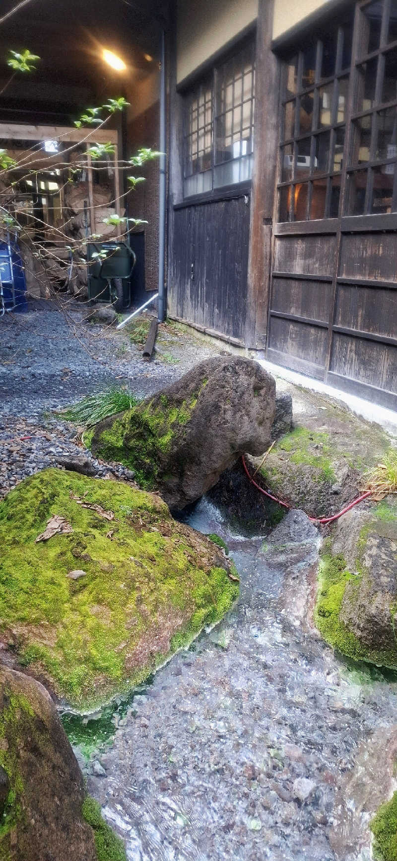 Ｉ.Tadashiさんの寒の地獄旅館のサ活写真