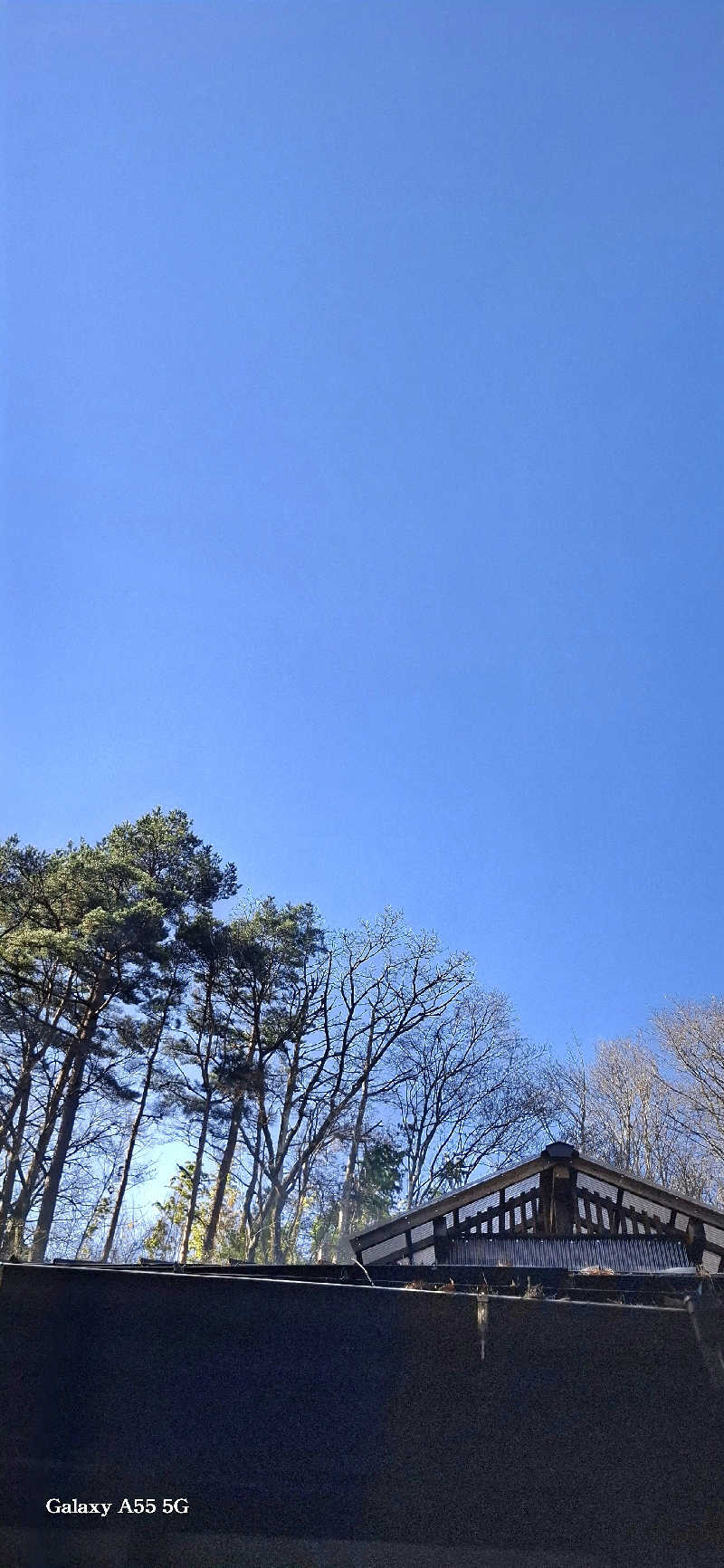 Ｉ.Tadashiさんの寒の地獄旅館のサ活写真