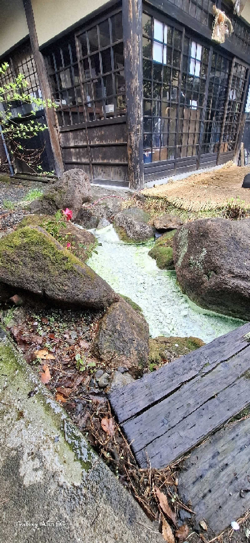 Ｉ.Tadashiさんの寒の地獄旅館のサ活写真