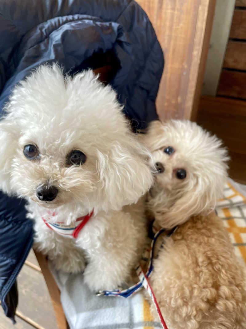 サウナー20251231さんのゼクシス広島のサ活写真