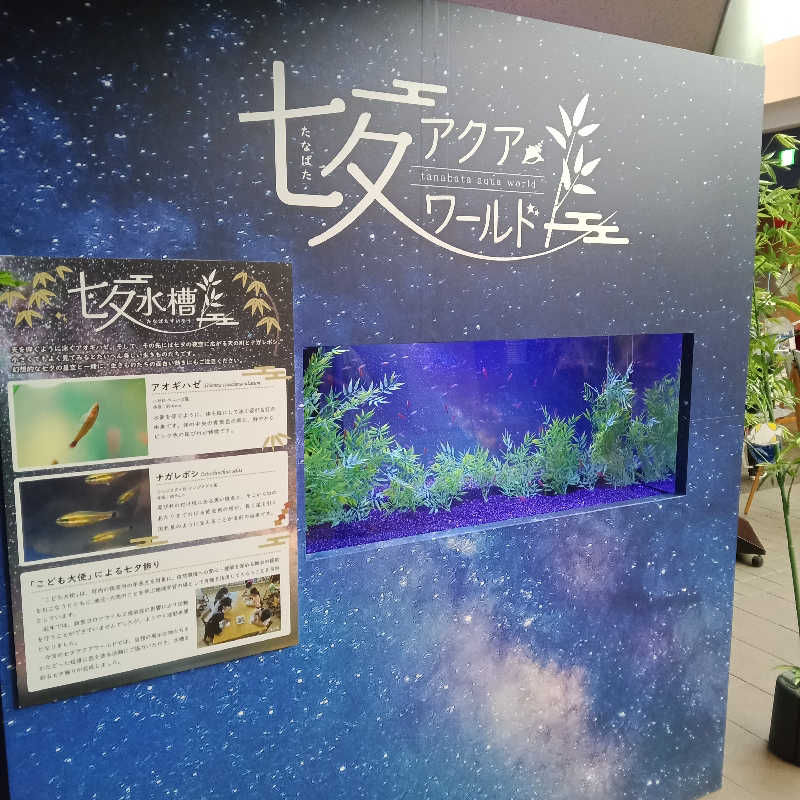 kafujiさんのおふろcafé かりんの湯のサ活写真