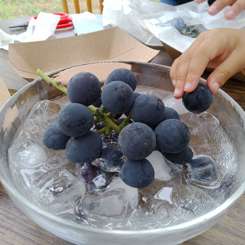 kafujiさんのおふろcafé かりんの湯のサ活写真