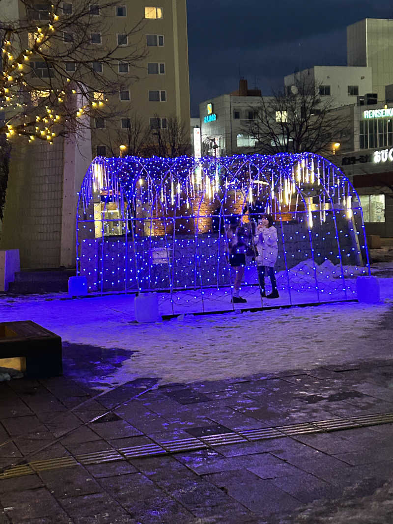 のりやすさんの森のスパリゾート 北海道ホテルのサ活写真