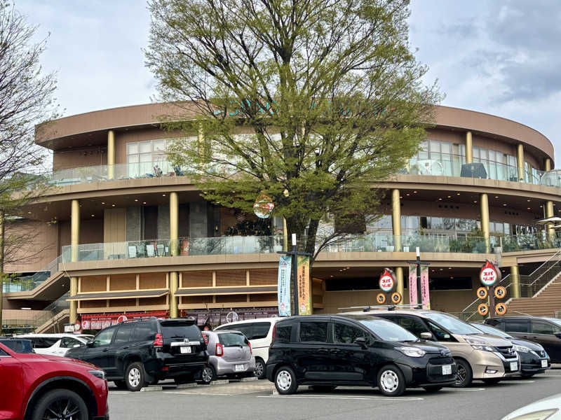 つこつこさんのスパジアムジャポンのサ活写真