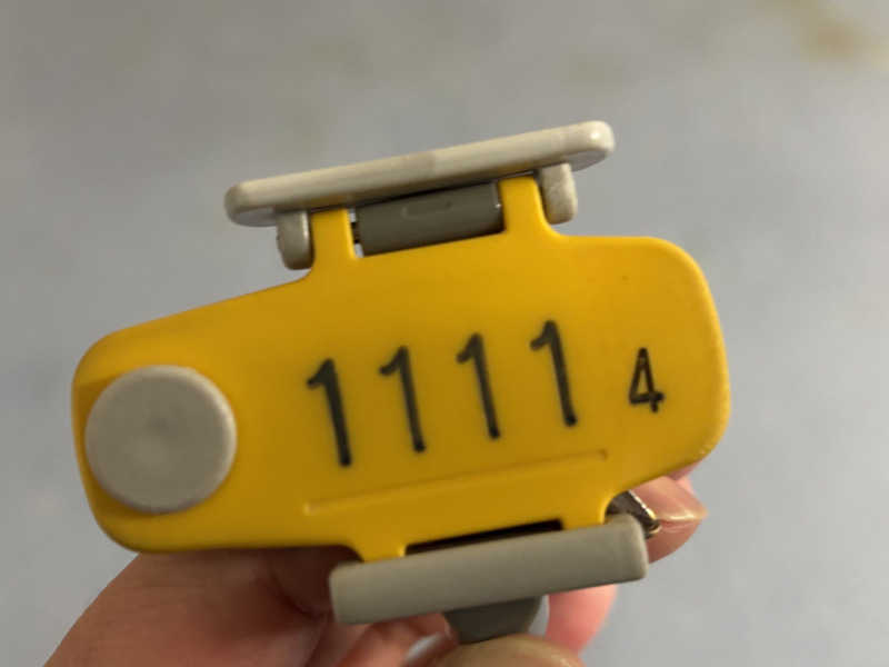 つこつこさんの深層湯温泉 紫雲の郷のサ活写真