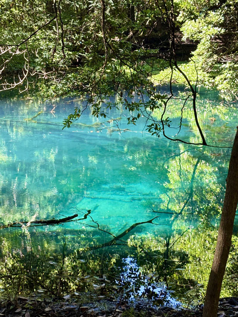つこつこさんの金浦温泉・学校の栖のサ活写真